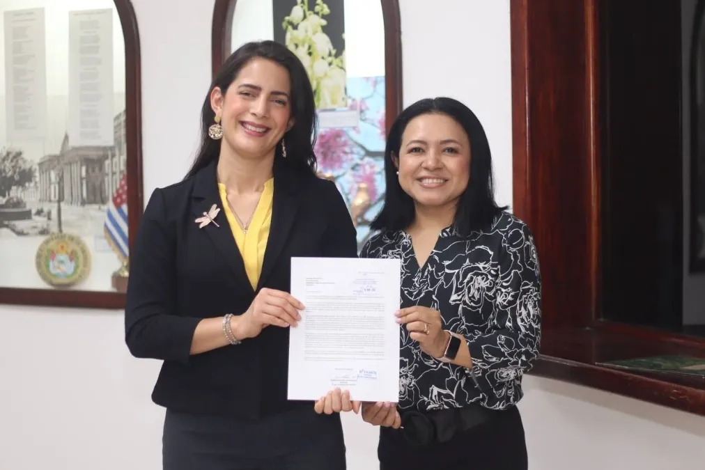 Conflict over control of Vamos intensifies: TSE will have to decide on party leadership — Conflicto por control de Vamos se agudiza: TSE deberá decidir sobre autoridades partidarias