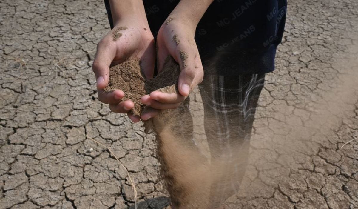 El Niño could reach historic levels between October and December — El Niño podría alcanzar niveles históricos entre octubre y diciembre