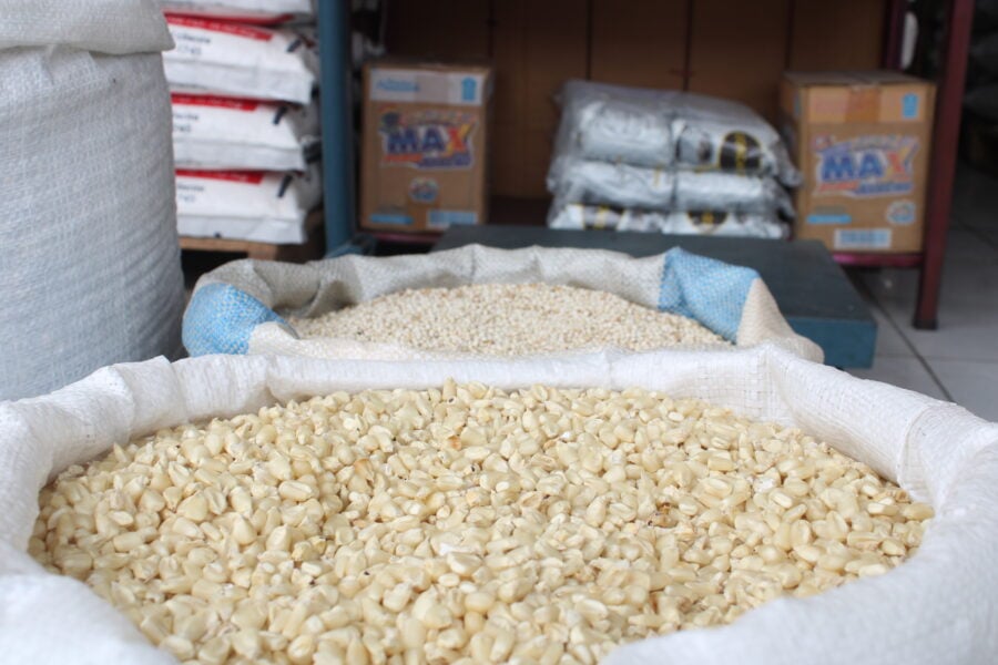 El Salvador imports record volume of white and yellow corn through July — El Salvador importa un volumen récord de maíz blanco y amarillo a julio