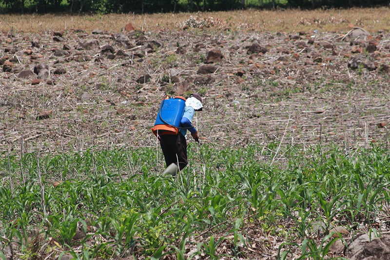 Environmentalist says El Salvador needs climate change adaptation measures — Ambientalista señala que El Salvador necesita medidas de adaptación al cambio climático