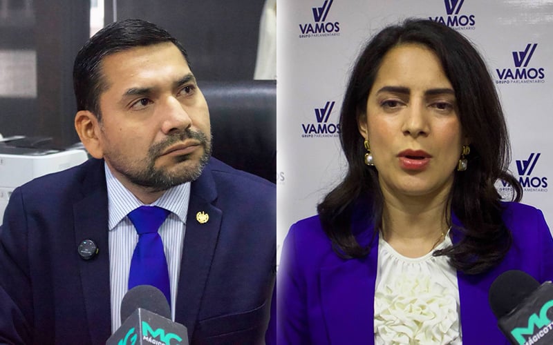 Arena and Vamos criticize government silence over possible end of TPS, call for clear policies for returnees — Arena y Vamos critican silencio del Gobierno ante eventual fin del TPS y pide políticas claras para retornados