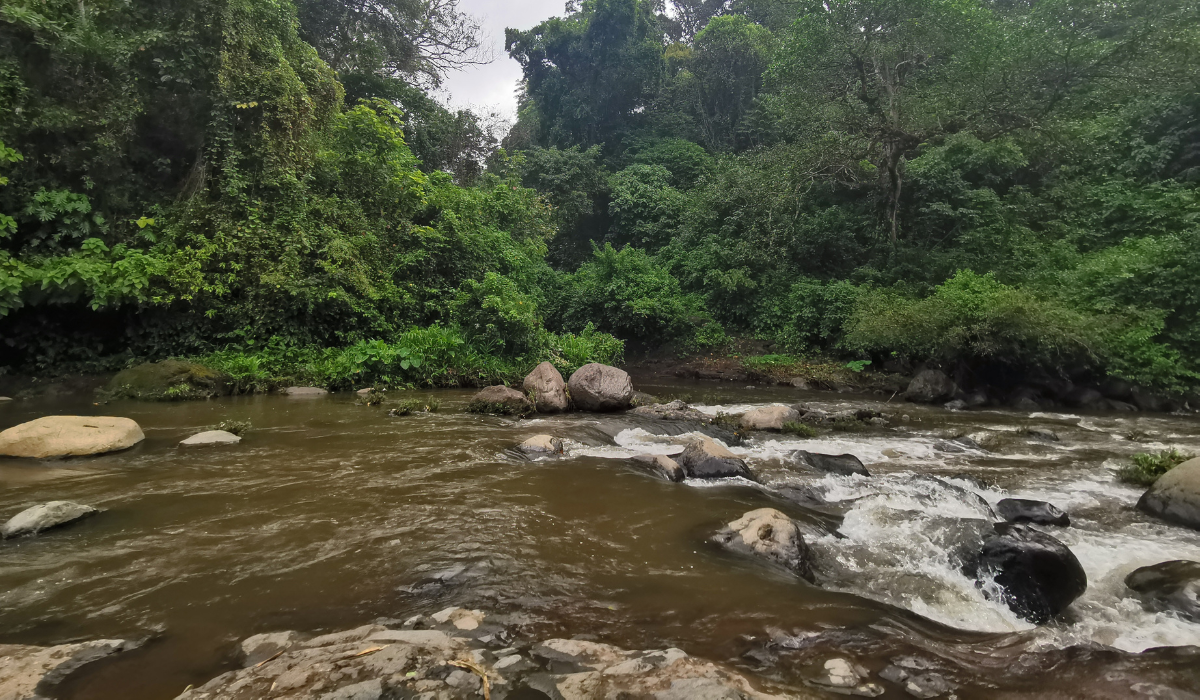 Franciscans call on communities to organize to protect their water sources — Franciscanos piden a comunidades organizarse para proteger sus fuentes de agua