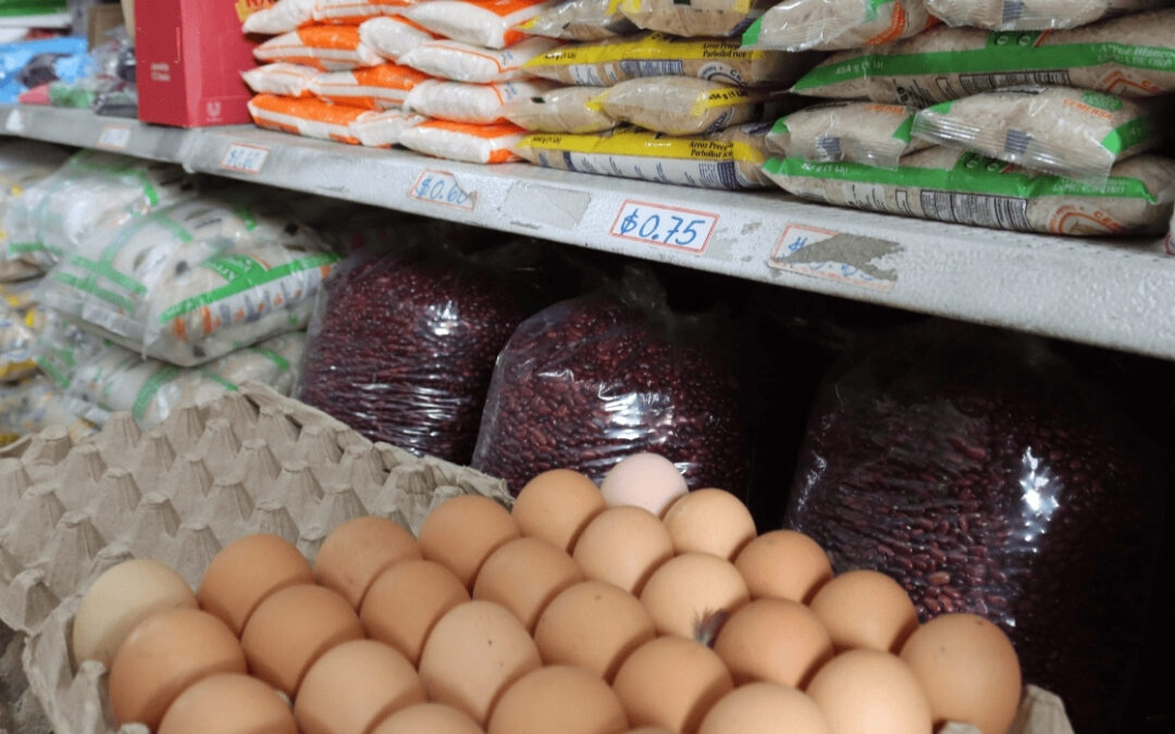 Remittances mainly go toward covering basic needs of Salvadoran households — Remesas se destinan principalmente a cubrir necesidades básicas de los hogares salvadoreños