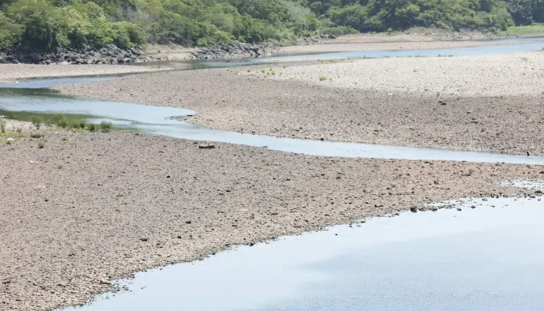 Rainfall deficit expected to continue in September and October in El Salvador — Déficit de lluvias continuaría en septiembre y octubre en El Salvador
