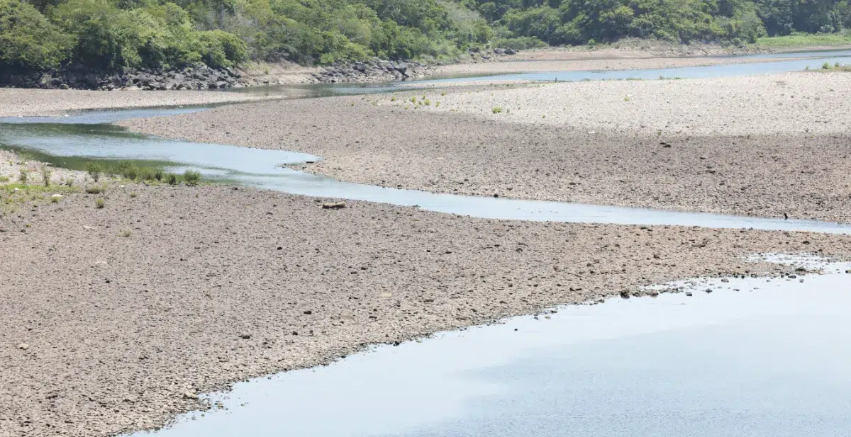Rainfall deficit expected to continue in September and October in El Salvador — Déficit de lluvias continuaría en septiembre y octubre en El Salvador