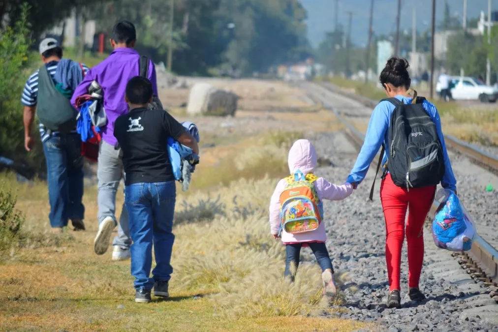COFAMIDE records 250 active cases of missing Salvadoran migrants — COFAMIDE registra 250 casos activos de migrantes salvadoreños desaparecidos