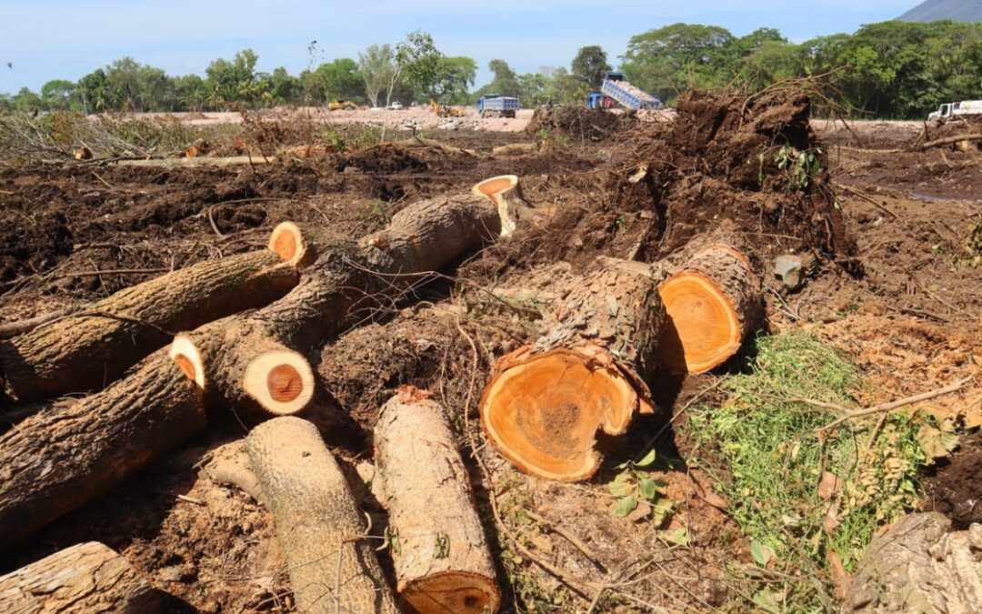 El Salvador fails to meet international commitments to protect biodiversity, according to Asociación Gaia — El Salvador incumple compromisos internacionales para proteger la biodiversidad, según Asociación Gaia