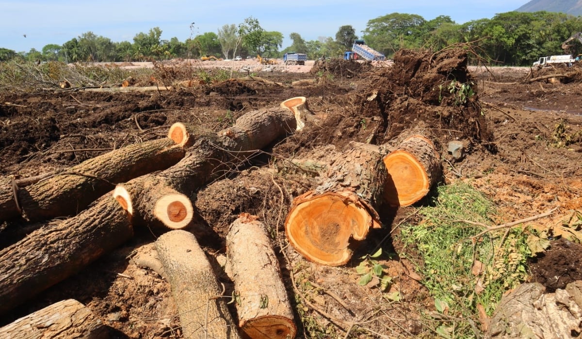 El Salvador fails to meet international commitments to protect biodiversity, according to Asociación Gaia — El Salvador incumple compromisos internacionales para proteger la biodiversidad, según Asociación Gaia