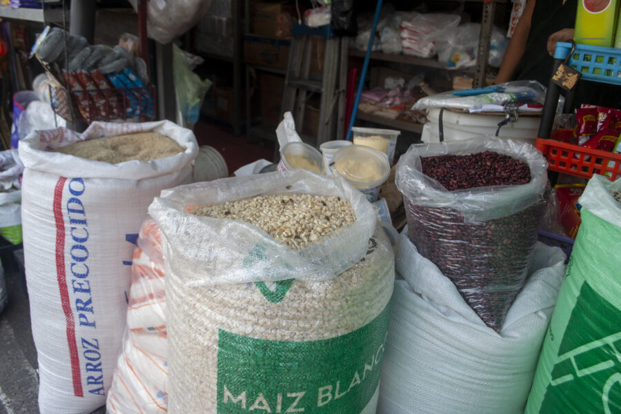Farmers report crop recovery after drought in the East — Agricultores reportan recuperación de cultivos tras sequía en Oriente