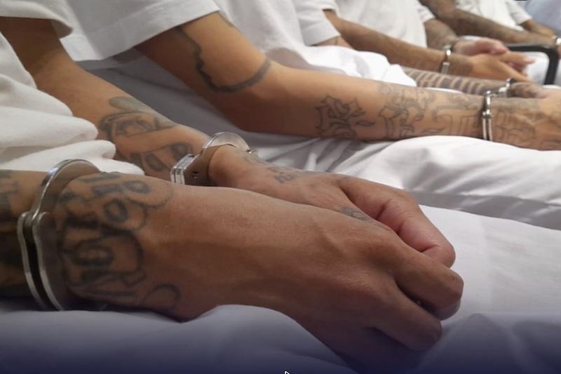 79% of convicted gang members received sentences of 15 to 45 years and 13 received life imprisonment — El 79 % de pandilleros condenados recibió penas de 15 a 45 años y 13 recibieron cadena perpetua