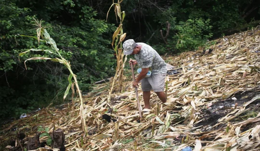 State of emergency declared in El Salvador due to El Niño phenomenon — Declaran estado de emergencia en El Salvador por fenómeno de El Niño