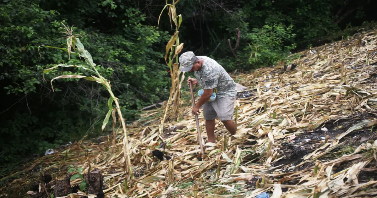 State of emergency declared in El Salvador due to El Niño phenomenon — Declaran estado de emergencia en El Salvador por fenómeno de El Niño